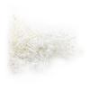 Dried Broadleaf Sea Lavender - Limonium Latifolium - Bleached
