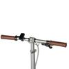 Maxtron Smart20 Leichtes Elektrofahrrad – 250W Motor, 36V 5,2Ah Akku