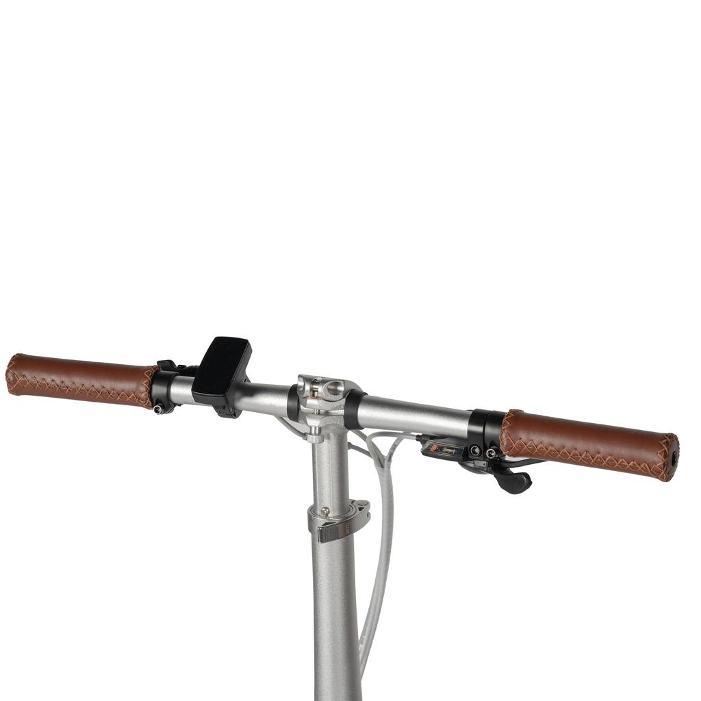 Maxtron Smart20 Leichtes Elektrofahrrad – 250W Motor, 36V 5,2Ah Akku