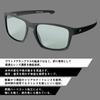 Daiwa Polarized Sunglasses Gray DN-8036
