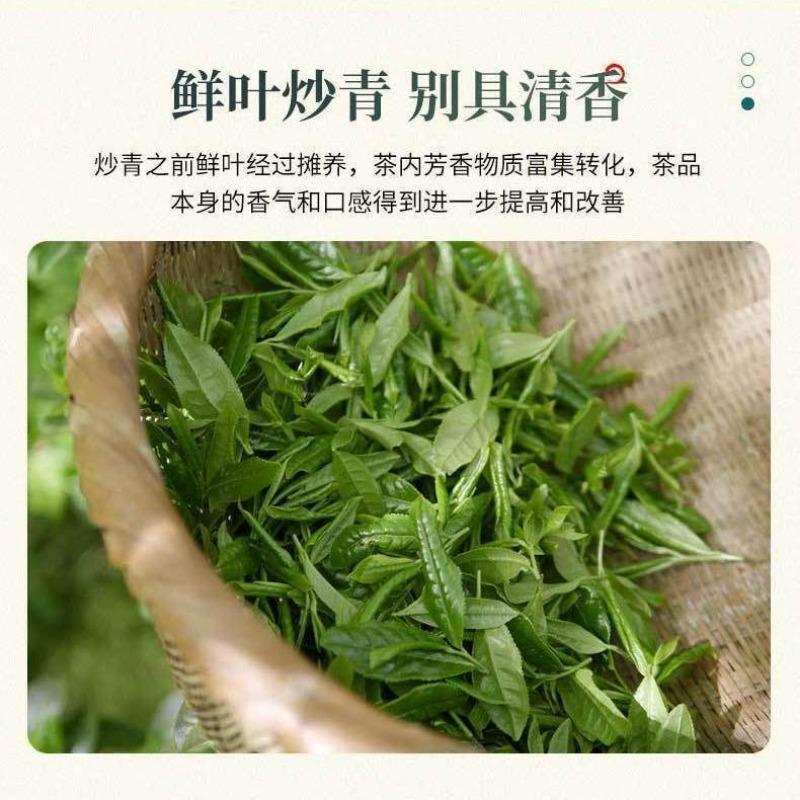 Grüner Tee Grüner Biloba Roll Grüner Tee Neuer Tee Starker Duft Typ Extra 100g