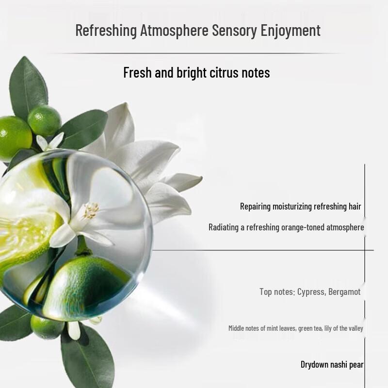 Schwarzkopf Aqua-Oil Source Hair Conditioner