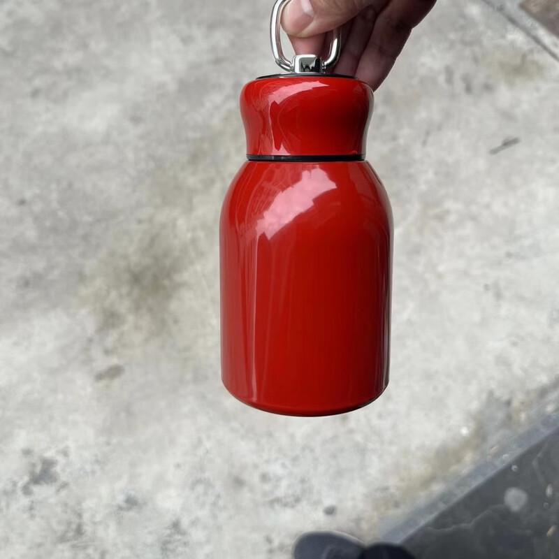 OLOEY Mini Insulated Stainless Steel Water Bottle