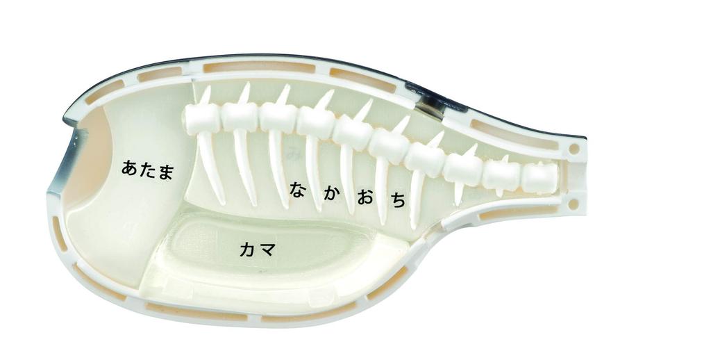 MegaHouse Buy Tiger Pufferfish Dissection Puzzle for ages 6 and up One!!