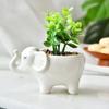 Creative Cartoon Alpaca Swan Ceramic Flowerpot Nordic Plant Pot Succulent Flowerpot Animal Shaped Pots Home Decoration Ornaments