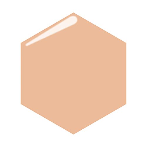 Integrate Pro Finish Liquid Special Set 1 Foundation with Powder Ocher 20 2 Assorted