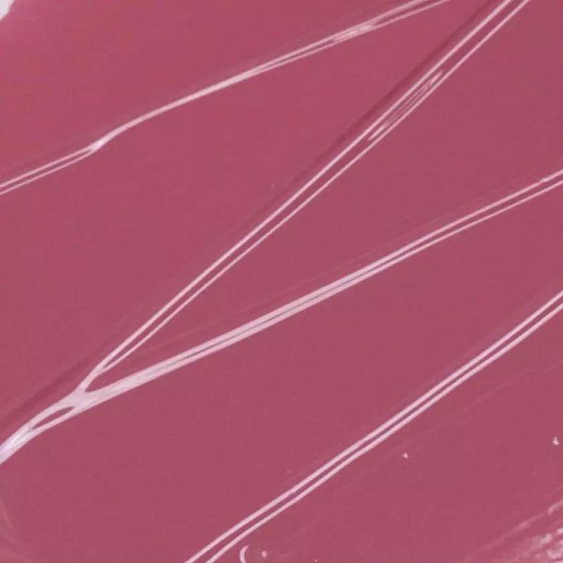 TAM BEAUTY - The Jelly Plumping Lip Tint - 8 Colors