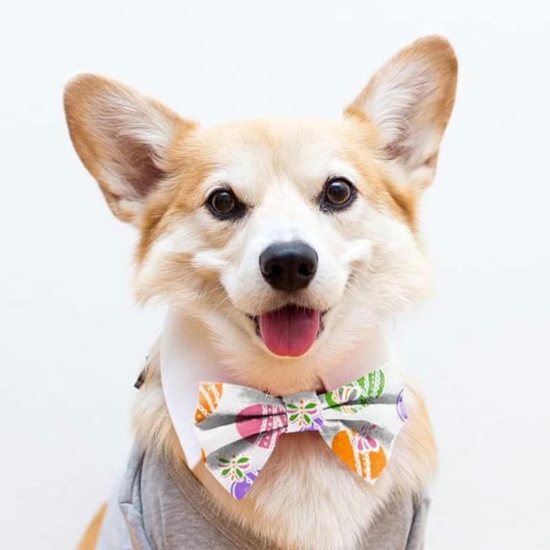 5 Yards Festive Ribbons with Carrot Dotted Pattern for Decorsfor Easter Flower Arrangements DIY Projects