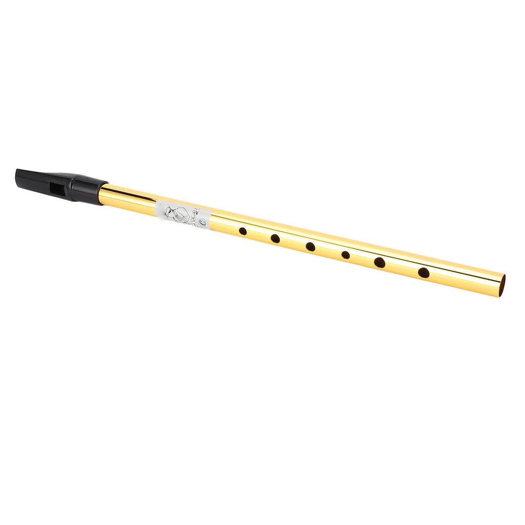 6 Holes Irish Tin Whistle Clear Sound Wind Musical Accurate Tuning Whistle Flute for Beginners C Tune
