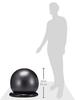 La-VIE Posture Yoshio Gym Ball with Rings, 65cm Black, Balance Ball Chair with Air Pump, 3B-3123 [Genuine Manufacturer Product]