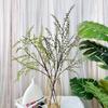 Bungeanum Zanthoxylum Artificial Branch For Event Decor And Props Photography