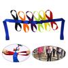 Educational Walk Rope Nylon Walking Rope School Security Rope Colourful Handle Child Safety Leading Rope for Preschool