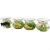 62KD Exquisite Mini Glass Fish Aquarium Scene Model for Dollhouse Collectors