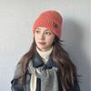 Autumn and Winter Hats for Women's New Korean Knitted Hats Versatile Warm Ear Protection and Thickened Fashionable Wool Hats