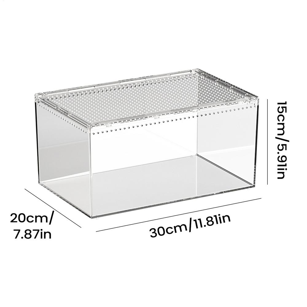 Spinnengehege Transparentes Reptilien-Terrarium-Behälter-Habitat Mit Belüftung Für Vogelspinne Gecko Schlange Frosch Skorpion Eidechse