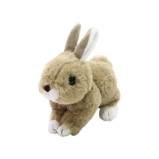 Takeoff Rabbit Maron Rex Brown R