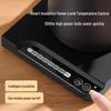 Temperature Control Gooseneck Electric Kettle