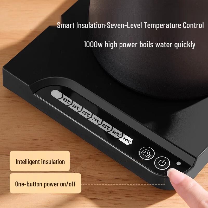 Temperature Control Gooseneck Electric Kettle