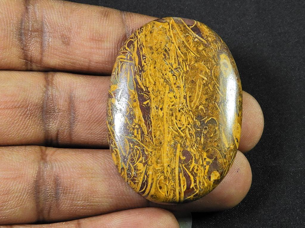 ?Natural Marium Fossil Multi Color Loose Cabochon Gemtsone 33X46X06 MM SK-1092