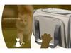 Expandable Multi-Window Cat Carrier Bag - Large Capacity, Breathable, and Portable for Travel