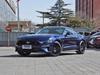 Ford Mustang Headlight Cover: New Lamp Shell 2018-2019 Models