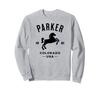Parker Colorado USA Equestrian Horse Design Trainer