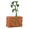 4Pcs Plants Grown Toy Simulation Educational PVC Plant Growth Cycle Model for Home