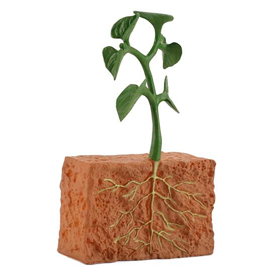 4Pcs Plants Grown Toy Simulation Educational PVC Plant Growth Cycle Model for Home