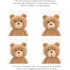 Pop Mart Ted2 Action Plush Toy Soft Stuffed Animal 30cm