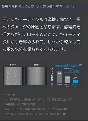 Koizumi Hair Dryer Ion Balance Salon Sense 300 Gray KHD-9920/H