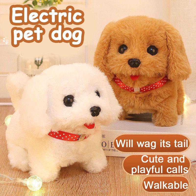 Elektrická hračka pro psa