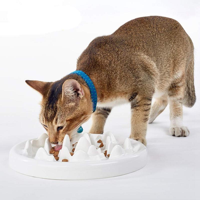 Slow Feeding Bowl, Ceramic Play Interactive Play BLOOD BLOCK BLOOD MISK CAT Prevention Feeder Anti-Alulping Health Feeding Bowl for Animals | Dog Food