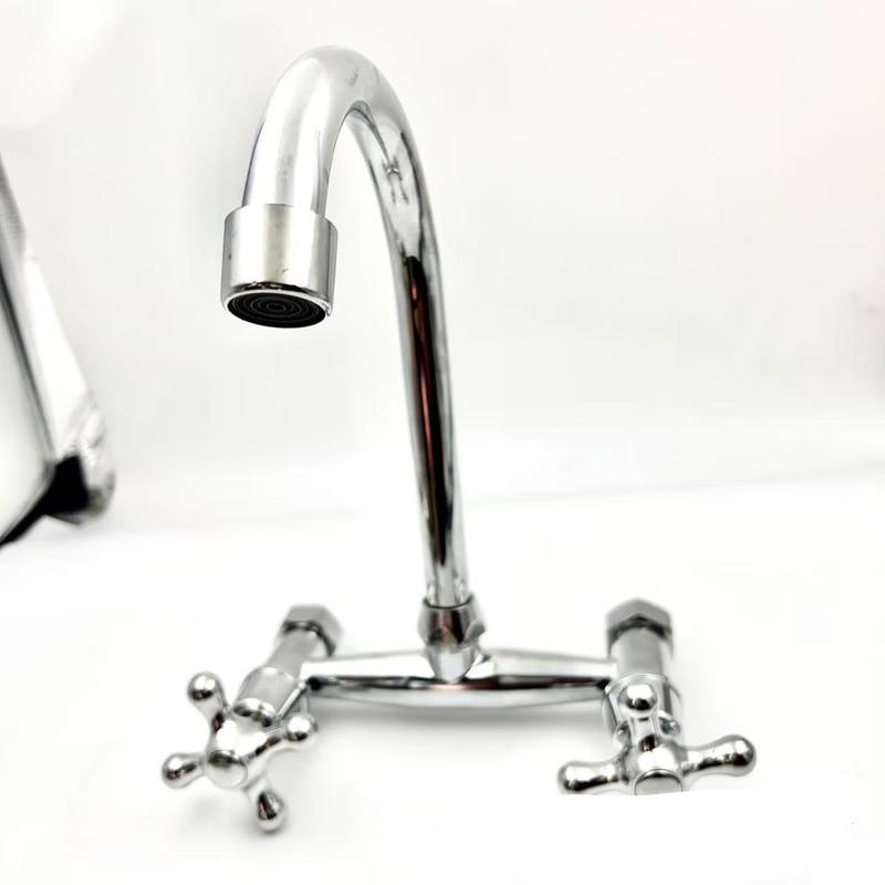 TLXT Wall-Mounted Kitchen Faucet with Dual Handles