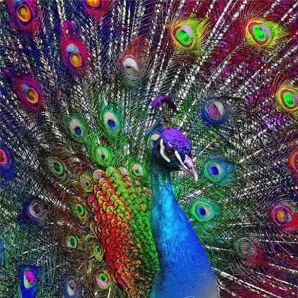 Diamond Painting Peacock Colorful Full Drill Square Diamond Embroidery 5D DIY Needlework Mosaic Art Handmade Gift