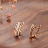 Copper-plated real gold micro-inlaid zircon earrings for women, fashionable hollow double-row diamond D-button earrings jewelry.