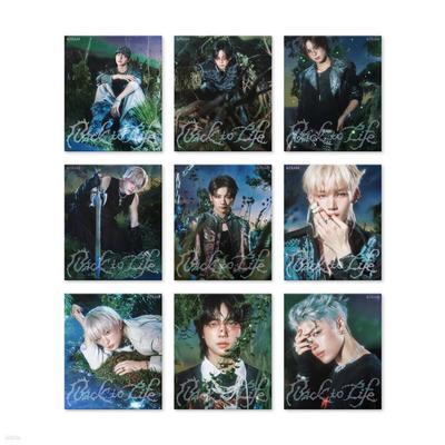 &TEAM [BACK TO LIFE] KR 1er Mini Album ROAR