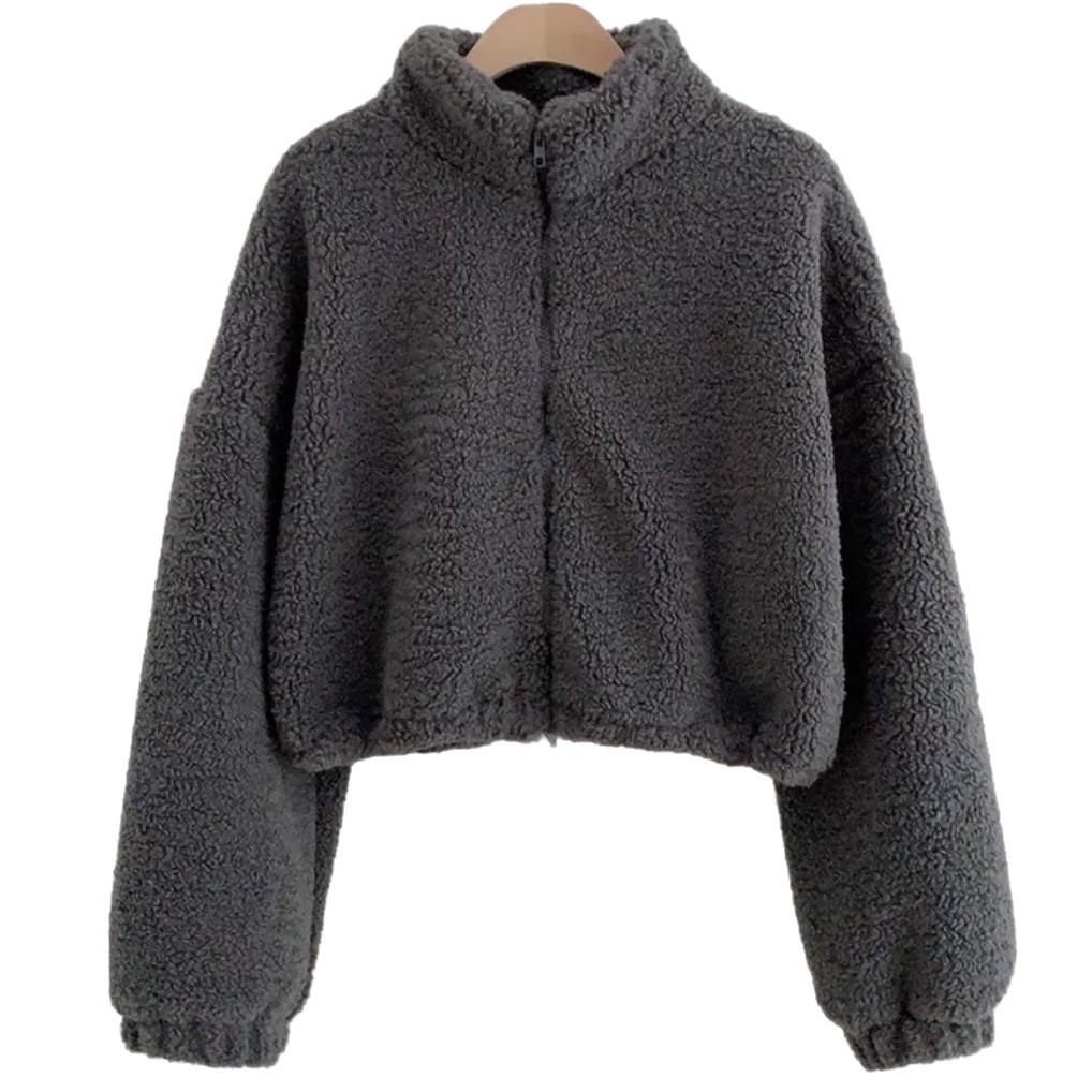 Fashion small Korean chic autumn and winter new temperament stand-up collar zipper imitation plush versatile short coat women's tide