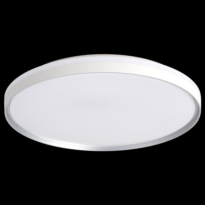Foshan Lighting Modern Minimalist LED Ceiling Lamp