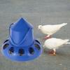1Pcs 11 Holes Chicken Automatic Feeder Plastic Bird Feeding Bucket  for Chicken Pigeon Budgies