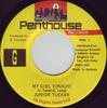 7inch Record JUNIOR TUCKER - My Girl Tonight NONE Penthouse Recor 1997 Jamaica Reggae, Ska & Dub Used