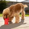 Yaz Serinletici Köpek Oyuncağı Su Süt Dondurulabilir Besleyici İnteraktif Köpek Çiğneme Oyuncağı Yavaş Besleme Serinletici Oyuncak Sıcak Günler İçin Köpekler Sıkıntı Giderici