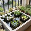 with Handles Aquatic Plant Baskets PVC Mesh Planting Grow Bag Lotus Planter  Pond Landscaping
