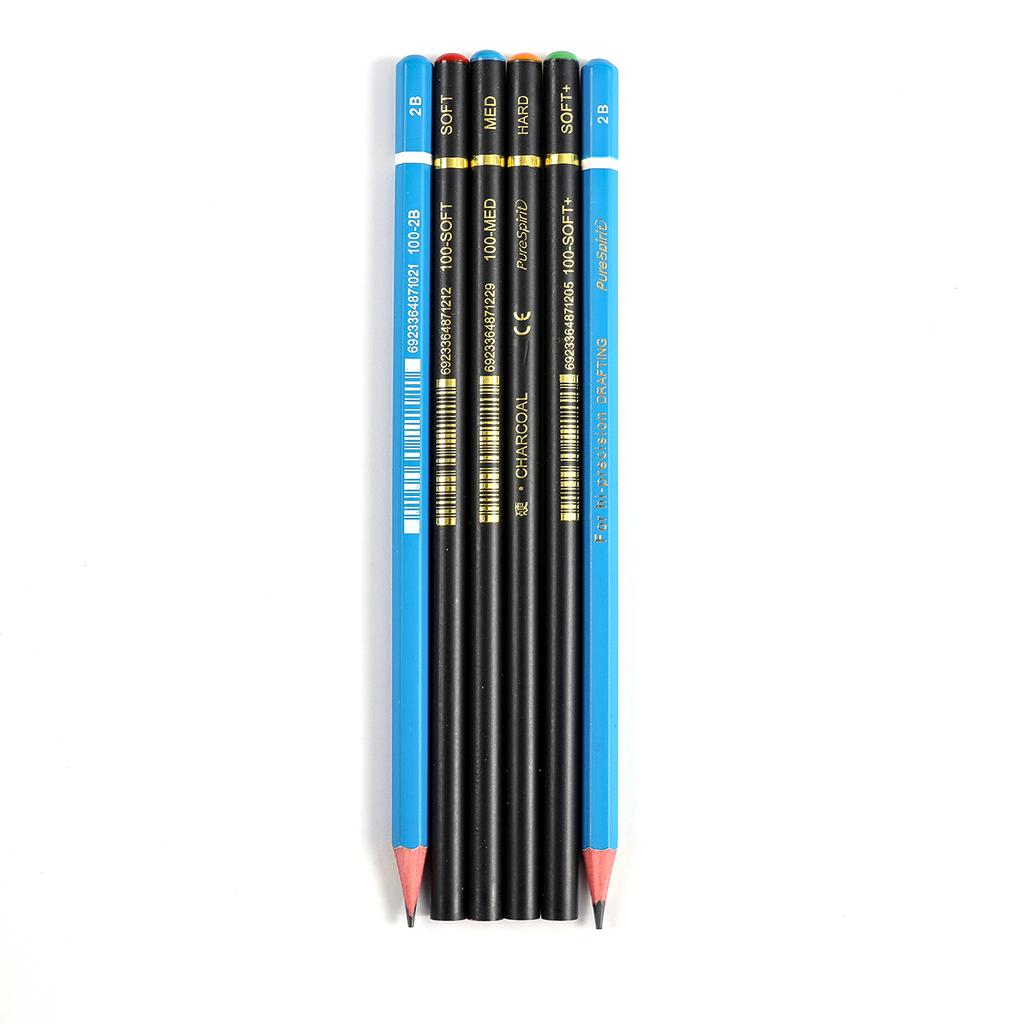 6PCS Professional Charcoal Pencils Set Drawing Soft Medium Hard and 2B Charcoal Pencils for Drawing, Sketching, Shading