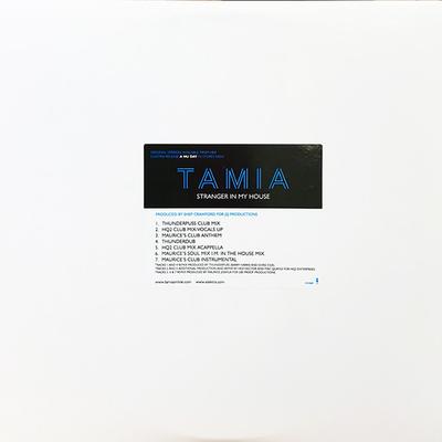 Disc de 12 inch TAMIA - Stranger In My House ED6265 Elektra 2001 US Dance & Electronica Folosit