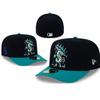 2026 Summer Adjustable Baseball & Visor Hat - Full Team Sports Design