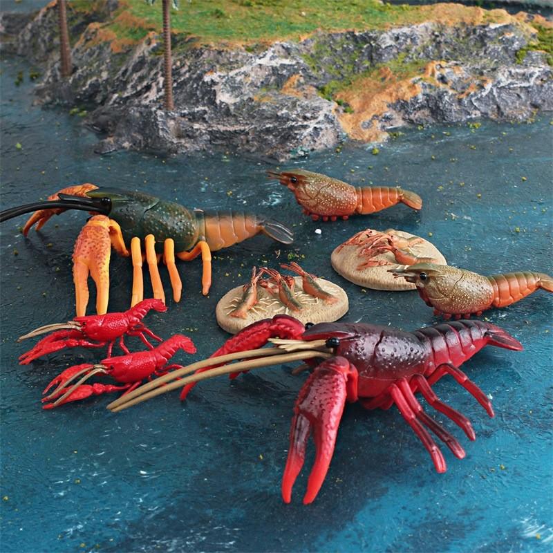 Vibrant Plastic Lobster Lifecycle Model Educational Toy Perfect For Marine Biology Studies