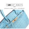 Commercio estero nuova borsa in pelle atmosferica platino borsa a mano con motivo a spina di coccodrillo borsa a spalla singola crossbody alla moda borsa grande da donna