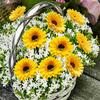 Garden Sunflower Stake Outdoor Decorations Landscape Courtyard Villa Simulation Lawn Pole 5pcs Pots Shape Sign