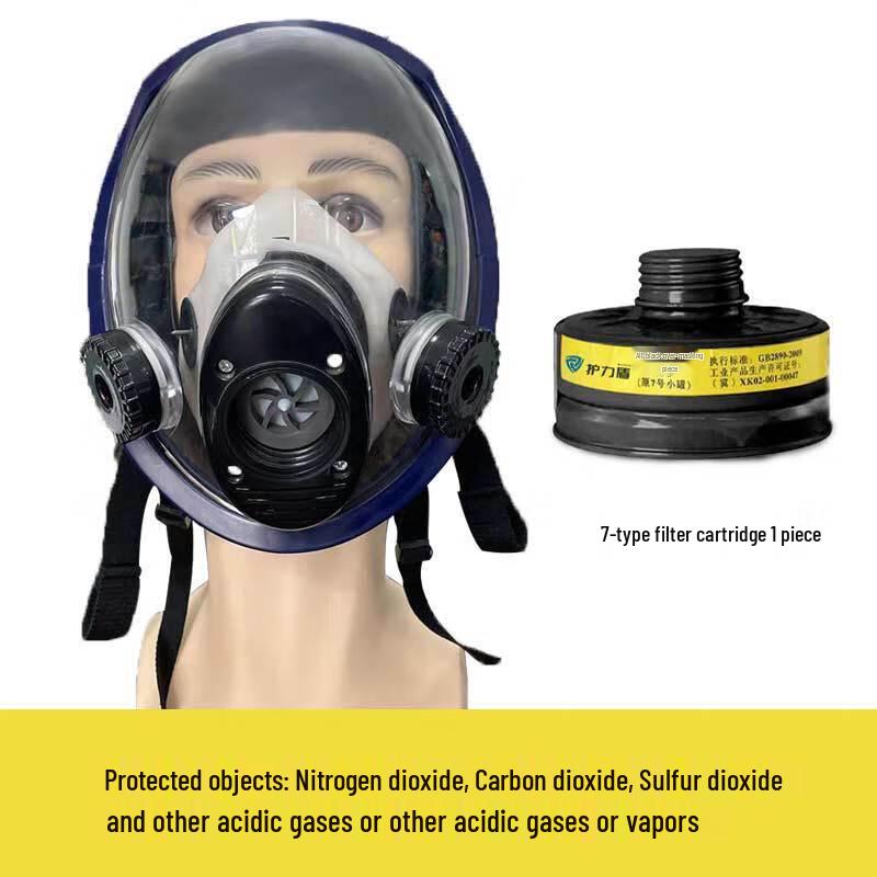 Longchan CF02 Full Face Gas Mask