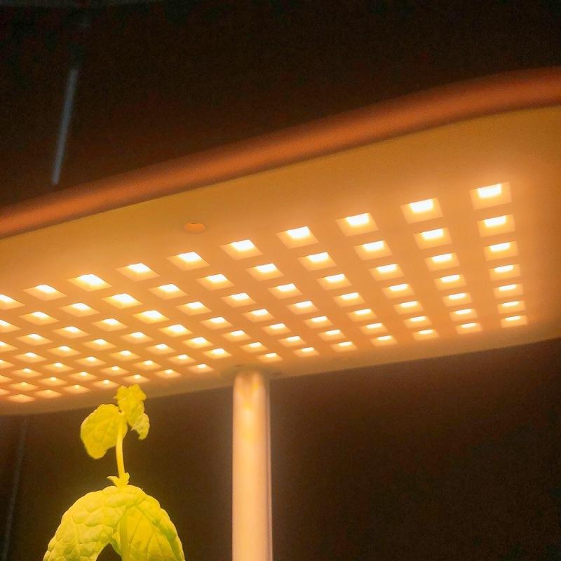 Smart Plant Growth Light Light Full Spectrum Plant Plant Plant Machine Hydroponický sázecí stroj